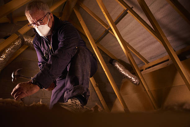 Professional Insulation Contractor in Gallatin, TN