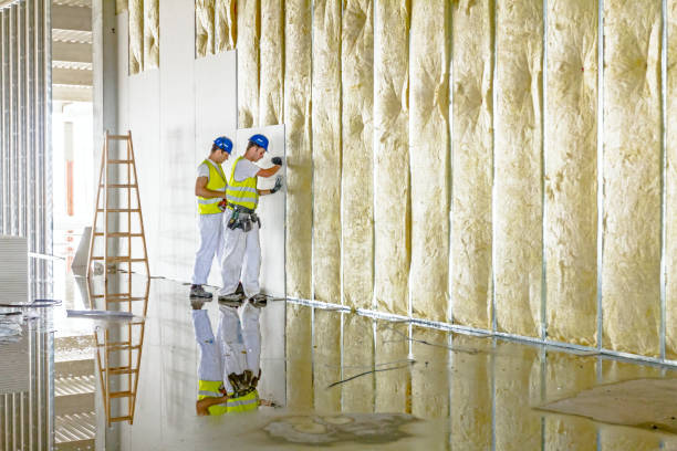 Best Insulation Maintenance and Repair in Gallatin, TN